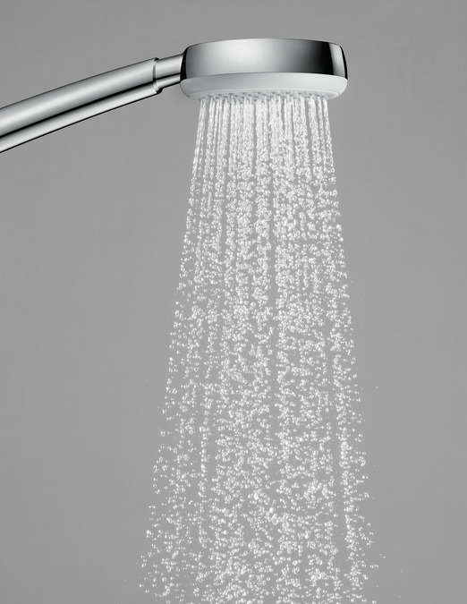 картинка 26828400 Ручной душ Crometta 100 1jet  EcoSmart 9 л/мин от магазина Hansgrohe.SALE